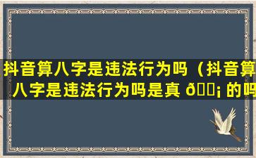 抖音算八字是违法行为吗（抖音算八字是违法行为吗是真 🐡 的吗 🦉 ）